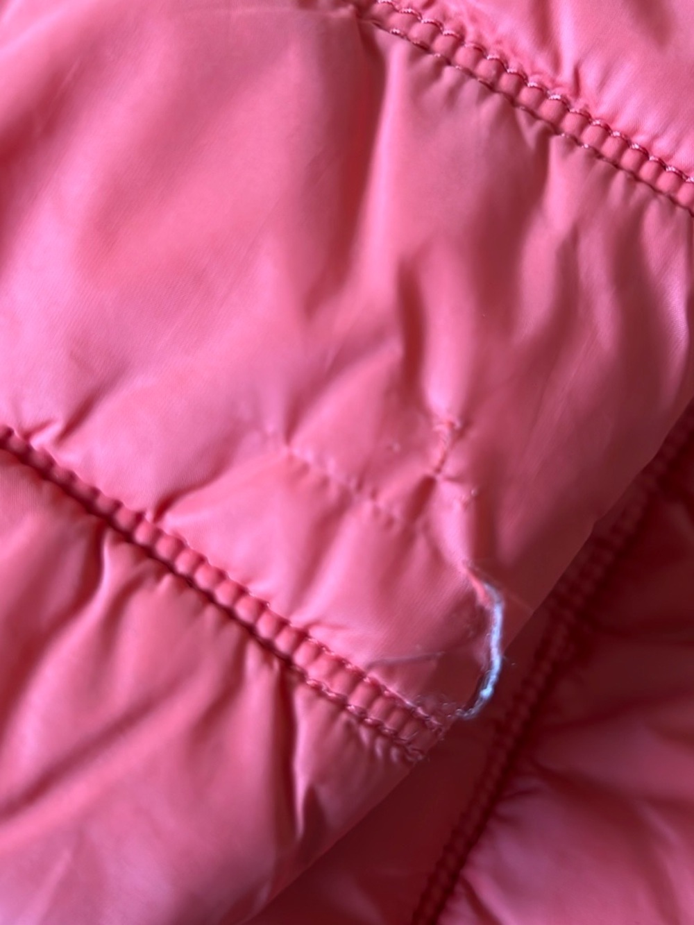 Boden Padded Jacket - Picture 4 of 4